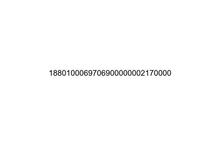 1880100069706900000002170000