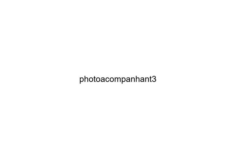 photoacompanhant3