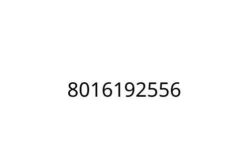 8016192556