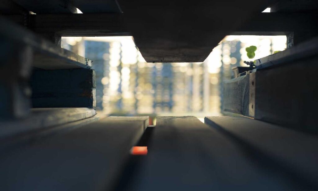 how to test for homorzopia disease