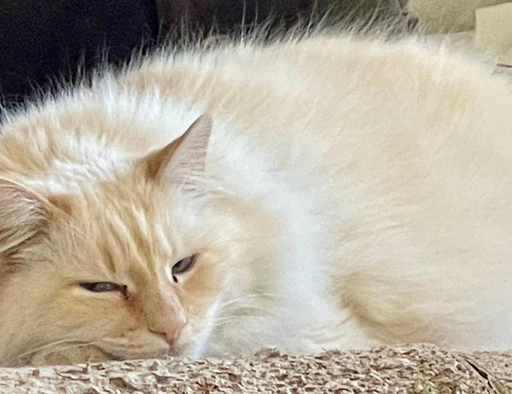 problem on computer 8379xnbs8e02328ws