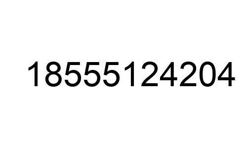 18555124204