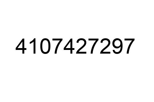 4107427297