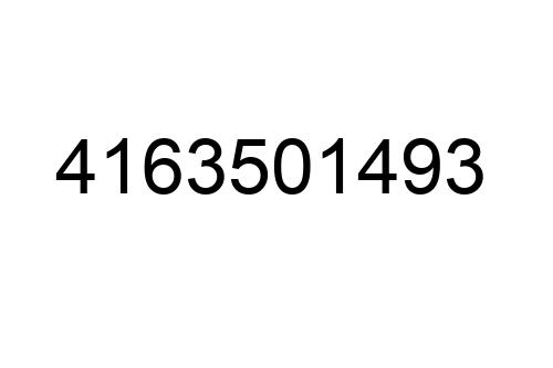 4163501493