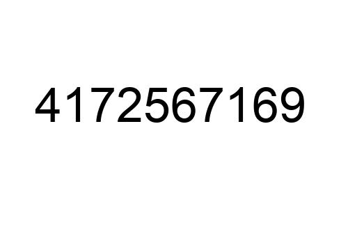 4172567169