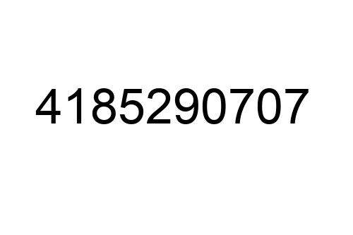 4185290707