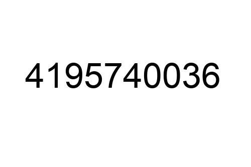 4195740036