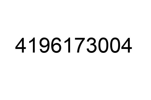 4196173004