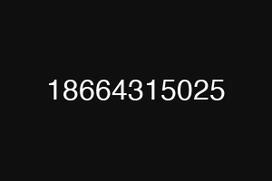 18664315025