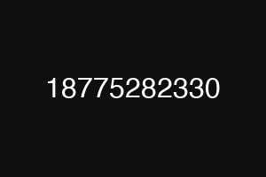 18775282330
