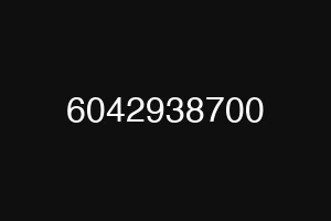 6042938700