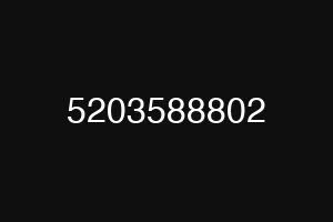 5203588802