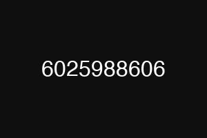6025988606