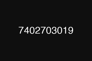 7402703019