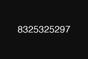 8325325297