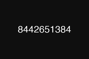 8442651384