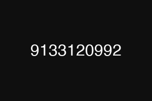 9133120992
