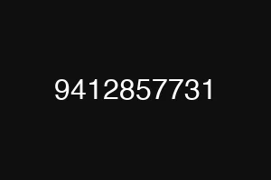 9412857731